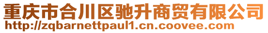 重慶市合川區馳升商貿有限公司