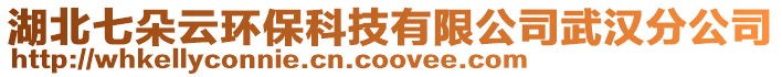 湖北七朵云環保科技有限公司武漢分公司