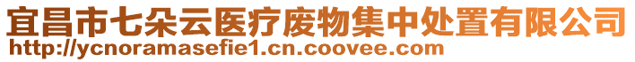 宜昌市七朵云醫(yī)療廢物集中處置有限公司