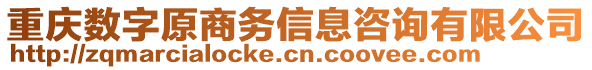重慶數字原商務信息咨詢有限公司