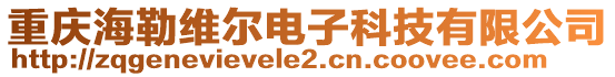重慶海勒維爾電子科技有限公司