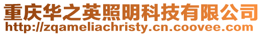 重慶華之英照明科技有限公司