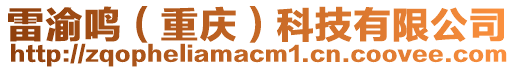 雷渝鳴（重慶）科技有限公司