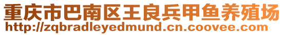重慶市巴南區王良兵甲魚養殖場