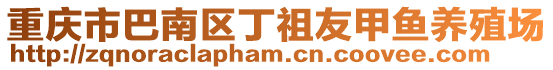 重慶市巴南區丁祖友甲魚養殖場