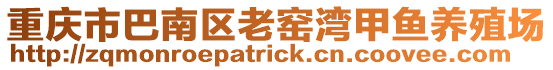 重慶市巴南區老窯灣甲魚養殖場