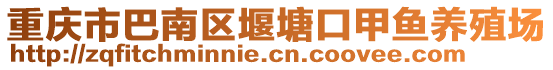 重慶市巴南區堰塘口甲魚養殖場