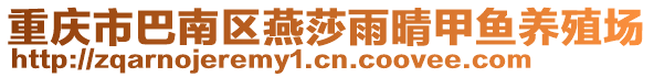 重慶市巴南區燕莎雨晴甲魚養殖場