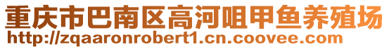 重慶市巴南區高河咀甲魚養殖場
