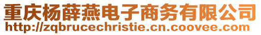 重慶楊薛燕電子商務有限公司