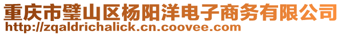 重慶市璧山區楊陽洋電子商務有限公司