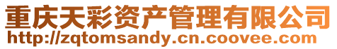 重慶天彩資產管理有限公司