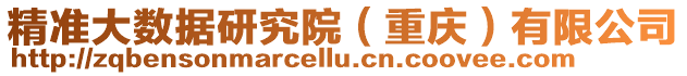 精準大數據研究院（重慶）有限公司