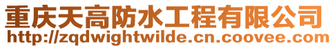 重慶天高防水工程有限公司