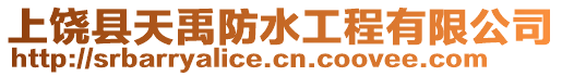 上饒縣天禹防水工程有限公司