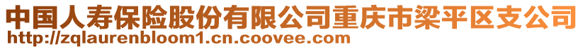 中國人壽保險股份有限公司重慶市梁平區支公司