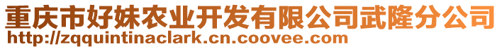 重慶市好妹農(nóng)業(yè)開發(fā)有限公司武隆分公司