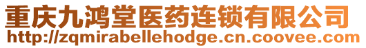 重慶九鴻堂醫藥連鎖有限公司