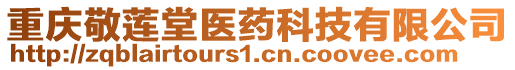 重慶敬蓮堂醫(yī)藥科技有限公司