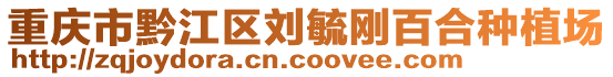 重慶市黔江區(qū)劉毓剛百合種植場