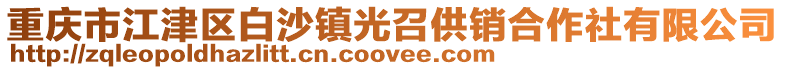 重慶市江津區(qū)白沙鎮(zhèn)光召供銷合作社有限公司