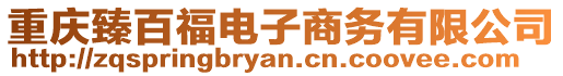 重慶臻百福電子商務(wù)有限公司