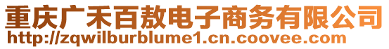 重慶廣禾百敖電子商務(wù)有限公司