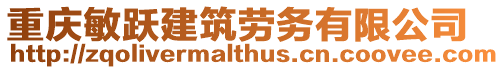 重慶敏躍建筑勞務有限公司