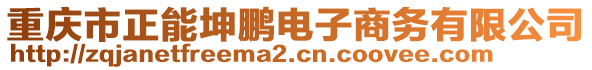 重慶市正能坤鵬電子商務(wù)有限公司