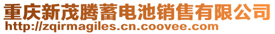重慶新茂騰蓄電池銷售有限公司