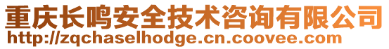 重慶長鳴安全技術(shù)咨詢有限公司