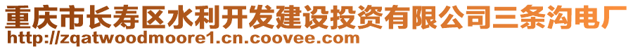 重慶市長壽區(qū)水利開發(fā)建設(shè)投資有限公司三條溝電廠