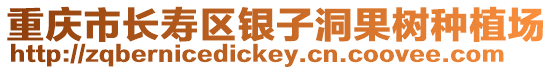 重慶市長壽區銀子洞果樹種植場