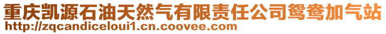 重慶凱源石油天然氣有限責(zé)任公司鴛鴦加氣站