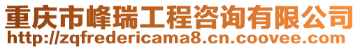重慶市峰瑞工程咨詢有限公司