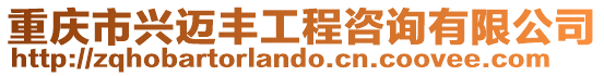 重慶市興邁豐工程咨詢有限公司