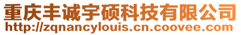 重慶豐誠宇碩科技有限公司