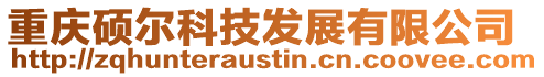 重慶碩爾科技發展有限公司