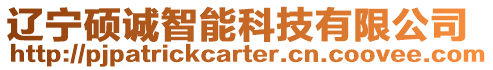 遼寧碩誠智能科技有限公司