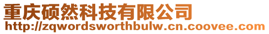 重慶碩然科技有限公司