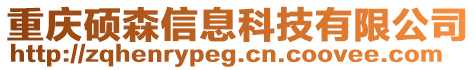 重慶碩森信息科技有限公司