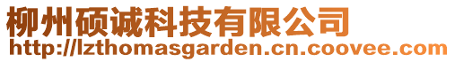 柳州碩誠科技有限公司