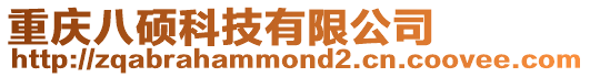 重慶八碩科技有限公司