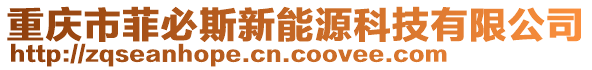 重慶市菲必斯新能源科技有限公司