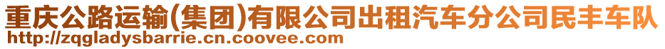 重慶公路運輸(集團)有限公司出租汽車分公司民豐車隊