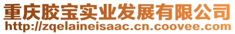 重慶膠寶實業(yè)發(fā)展有限公司
