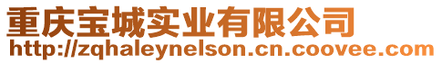 重慶寶城實業有限公司