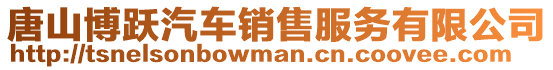 唐山博躍汽車銷售服務(wù)有限公司