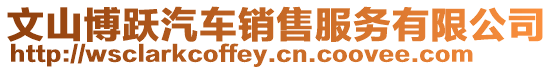 文山博躍汽車銷售服務有限公司