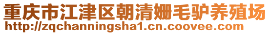 重慶市江津區(qū)朝清姍毛驢養(yǎng)殖場(chǎng)